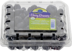 Blueberries, Bleuets 6Z