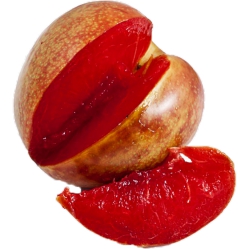 Pluot Plums