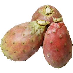 Cactus Pears