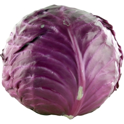Organic Red Cabbage