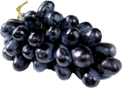 Black Seedless Grapes