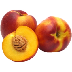 Nectarines #4378 Large