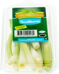 Kosher Garden