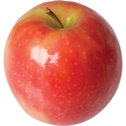 Organic Cripps Pink Apples