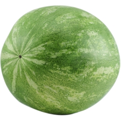 Whole Large Watermelon