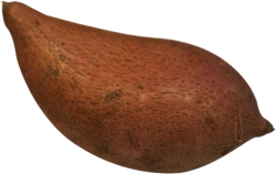 Yams