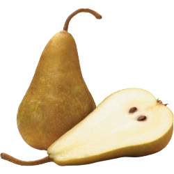 Pears Bosc