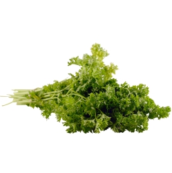 Cilantro,Chinese