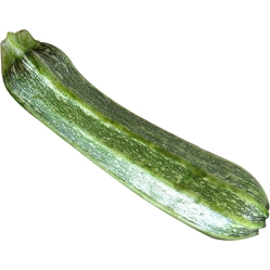 Zucchini, Extra Fancy