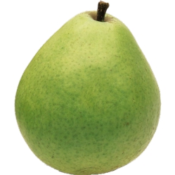 Pears,Anjou
