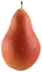 Pears,Forelle