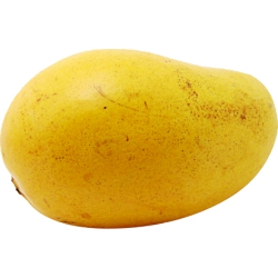 Mango, Champagne