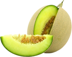 Honeydew