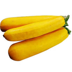 Zucchini,Yellow