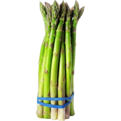 Asparagus,Fresh