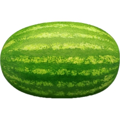 Watermelon, Whole