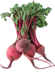 Beets,Bunched