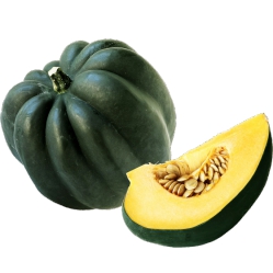 Squash,Acorn(Danish)