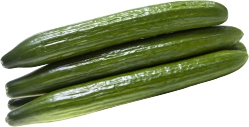 Long English Hot House Cucs