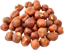 Filberts
