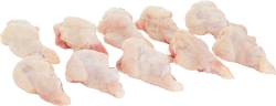 Chicken:Drumetes-Wsmndl