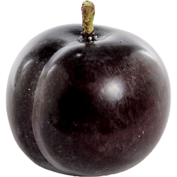 Plum, Back Tray