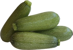 Squash,Mini Gray