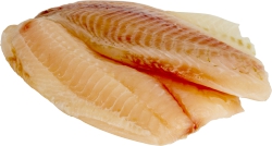 Fish:Tilapia Fillet