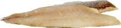 Fish:Red Snapper Fillet