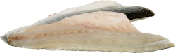 Fish:Bronzini Fillet