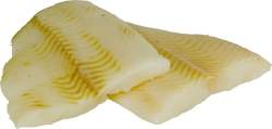 Fish:Turbot Fillet