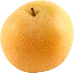 Asian Pear