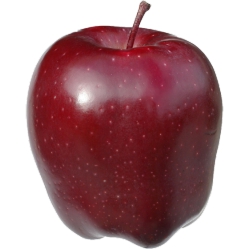 Organic Red Delicious Apples