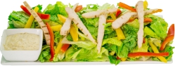 Moisha's Grilled Chicken Sld