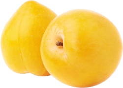 Plum, Yellow