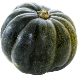 Acorn Squash