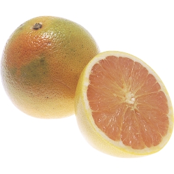 Large Grapefruit