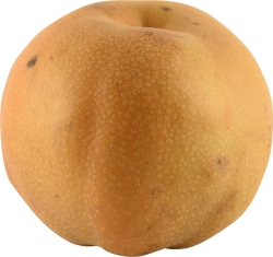 Apple Pear