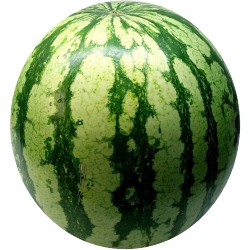 Watermelon Mini