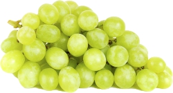 Green Seedless Grapes