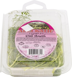 Dill