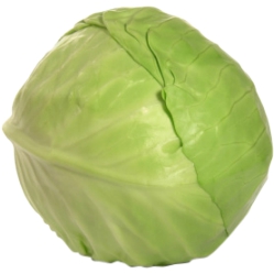 Cabbage Green