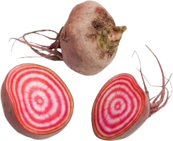 Beets Candy Cane Loose