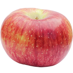 Apple Cortland Large