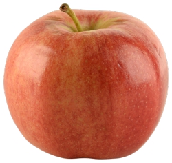 Organic Gala Apples