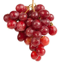 Red Seedless Krissy Grapes