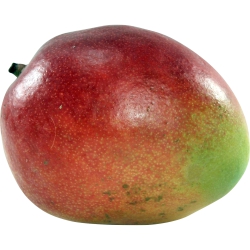 Organic Mango