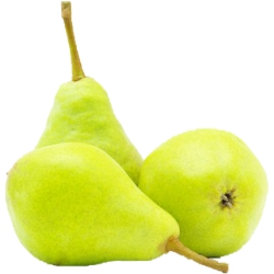 Pears, Concord