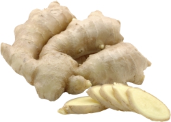 Ginger