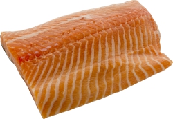 Fish: Baby Salmon Side